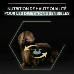 PRO PLAN Sensitive Digestion Small & Mini Adult à La Agneau- Croquettes Pour Chien -Promos Wanimo Boutique pro plan sensitive digestion small mini adult a la agneau croquettes pour chien 1 6