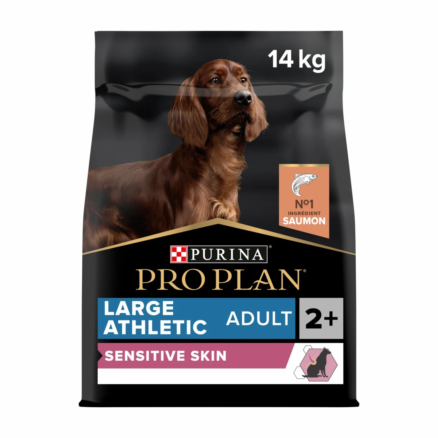 PRO PLAN Sensitive Skin Large Athletic Adult Au Saumon - Croquettes Pour Chien 1 PRO PLAN Sensitive Skin Large Athletic Adult Au Saumon - Croquettes Pour Chien