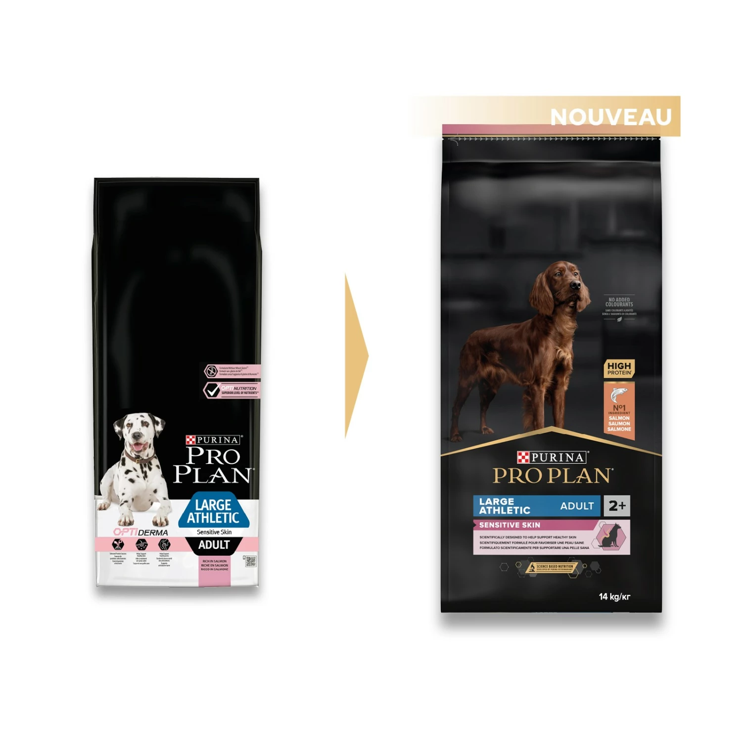 PRO PLAN Sensitive Skin Large Athletic Adult Au Saumon - Croquettes Pour Chien 2 PRO PLAN Sensitive Skin Large Athletic Adult Au Saumon - Croquettes Pour Chien – Image 2