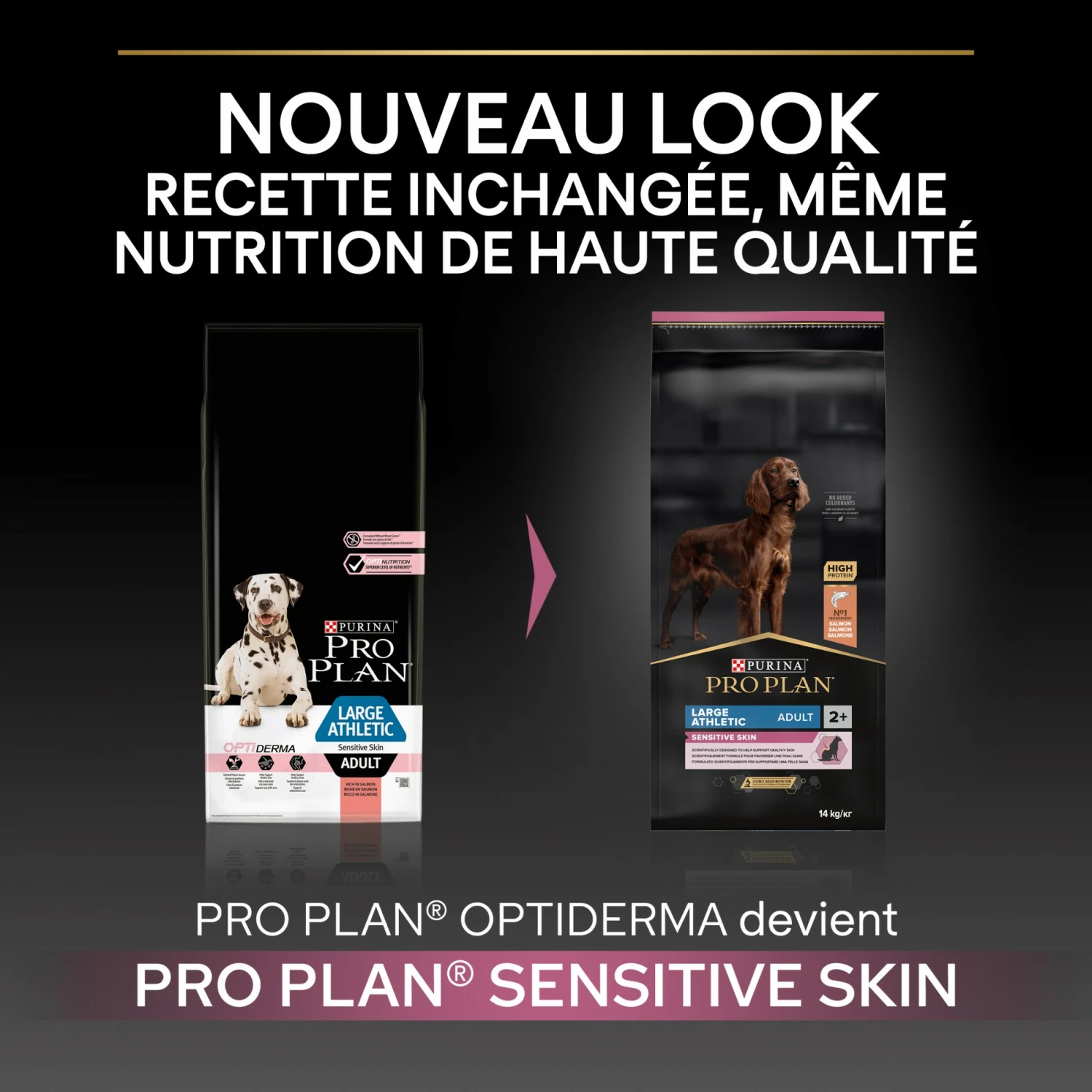 PRO PLAN Sensitive Skin Large Athletic Adult Au Saumon - Croquettes Pour Chien 3 PRO PLAN Sensitive Skin Large Athletic Adult Au Saumon - Croquettes Pour Chien – Image 3