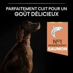 PRO PLAN Sensitive Skin Large Athletic Adult Au Saumon - Croquettes Pour Chien 11 PRO PLAN Sensitive Skin Large Athletic Adult Au Saumon - Croquettes Pour Chien -Promos Wanimo Boutique pro plan sensitive skin large athletic adult au saumon croquettes pour chien 1 3