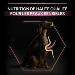 PRO PLAN Sensitive Skin Large Athletic Adult Au Saumon - Croquettes Pour Chien 15 PRO PLAN Sensitive Skin Large Athletic Adult Au Saumon - Croquettes Pour Chien -Promos Wanimo Boutique pro plan sensitive skin large athletic adult au saumon croquettes pour chien 1 7