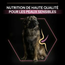 PRO PLAN Sensitive Skin Large Robust Adult Au Saumon - Croquettes Pour Chien -Promos Wanimo Boutique pro plan sensitive skin large robust adult au saumon croquettes pour chien 1 7