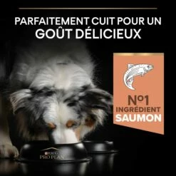PRO PLAN Sensitive Skin Medium Adult Au Saumon - Croquettes Pour Chien -Promos Wanimo Boutique pro plan sensitive skin medium adult au saumon croquettes pour chien 1 3