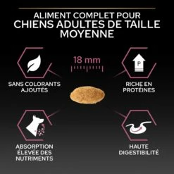 PRO PLAN Sensitive Skin Medium Adult Au Saumon - Croquettes Pour Chien -Promos Wanimo Boutique pro plan sensitive skin medium adult au saumon croquettes pour chien 1 4