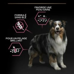 PRO PLAN Sensitive Skin Medium Adult Au Saumon - Croquettes Pour Chien -Promos Wanimo Boutique pro plan sensitive skin medium adult au saumon croquettes pour chien 1 5
