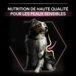 PRO PLAN Sensitive Skin Medium Adult Au Saumon - Croquettes Pour Chien -Promos Wanimo Boutique pro plan sensitive skin medium adult au saumon croquettes pour chien 1 7