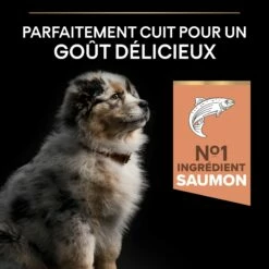 PRO PLAN Sensitive Skin Medium Puppy Au Saumon - Croquettes Pour Chien -Promos Wanimo Boutique pro plan sensitive skin medium puppy au saumon croquettes pour chien 1 3