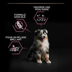 PRO PLAN Sensitive Skin Medium Puppy Au Saumon - Croquettes Pour Chien -Promos Wanimo Boutique pro plan sensitive skin medium puppy au saumon croquettes pour chien 1 5