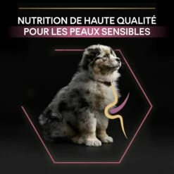 PRO PLAN Sensitive Skin Medium Puppy Au Saumon - Croquettes Pour Chien -Promos Wanimo Boutique pro plan sensitive skin medium puppy au saumon croquettes pour chien 1 7