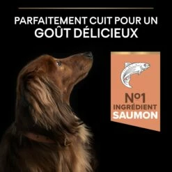 PRO PLAN Sensitive Skin Small & Mini Adult Au Saumon - Croquettes Pour Chien -Promos Wanimo Boutique pro plan sensitive skin small mini adult au saumon croquettes pour chien 1 3