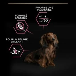 PRO PLAN Sensitive Skin Small & Mini Adult Au Saumon - Croquettes Pour Chien -Promos Wanimo Boutique pro plan sensitive skin small mini adult au saumon croquettes pour chien 1 5