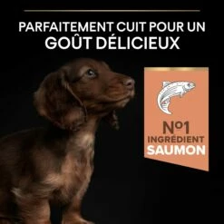 PRO PLAN Sensitive Skin Small & Mini Puppy Au Saumon - Croquettes Pour Chien -Promos Wanimo Boutique pro plan sensitive skin small mini puppy au saumon croquettes pour chien 1 3