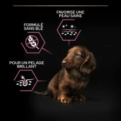 PRO PLAN Sensitive Skin Small & Mini Puppy Au Saumon - Croquettes Pour Chien -Promos Wanimo Boutique pro plan sensitive skin small mini puppy au saumon croquettes pour chien 1 5