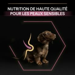 PRO PLAN Sensitive Skin Small & Mini Puppy Au Saumon - Croquettes Pour Chien -Promos Wanimo Boutique pro plan sensitive skin small mini puppy au saumon croquettes pour chien 1 7
