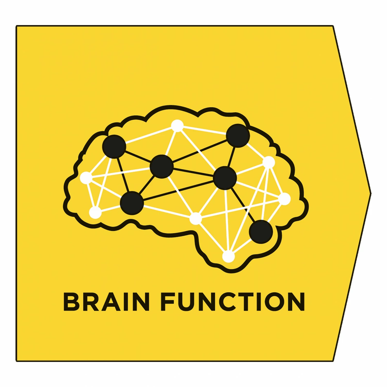 Proplan Veterinary Diets NC NeuroCare 8 Proplan Veterinary Diets NC NeuroCare – Image 8