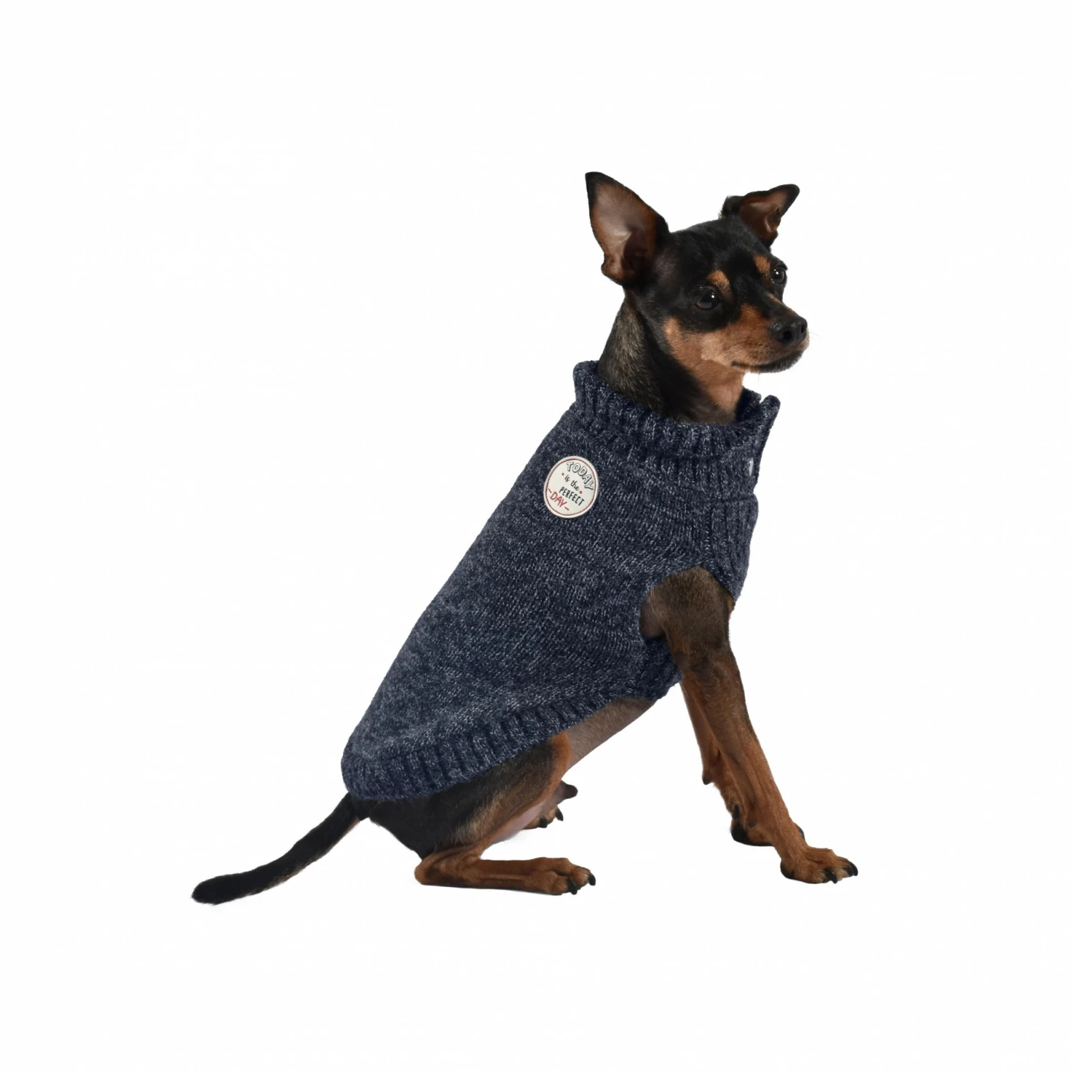 BOBBY Pull Today - Bleu 2 BOBBY Pull Today - Bleu – Image 2