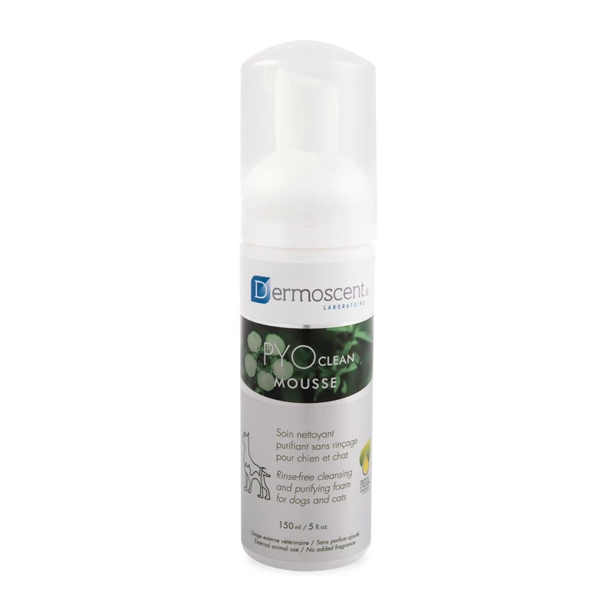 Dermoscent PYOclean® Mousse 1 Dermoscent PYOclean® Mousse