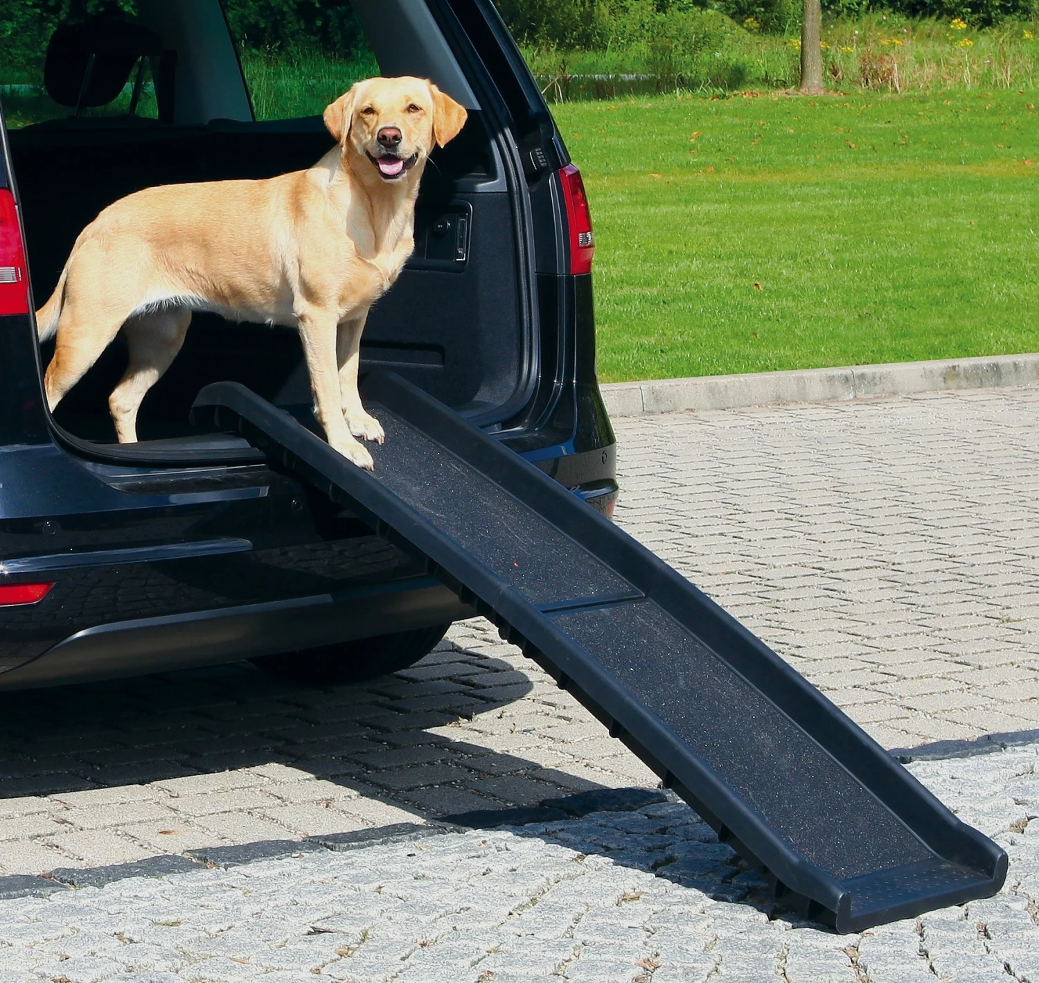 Trixie Rampe Pliable Petwalk 1 Trixie Rampe Pliable Petwalk