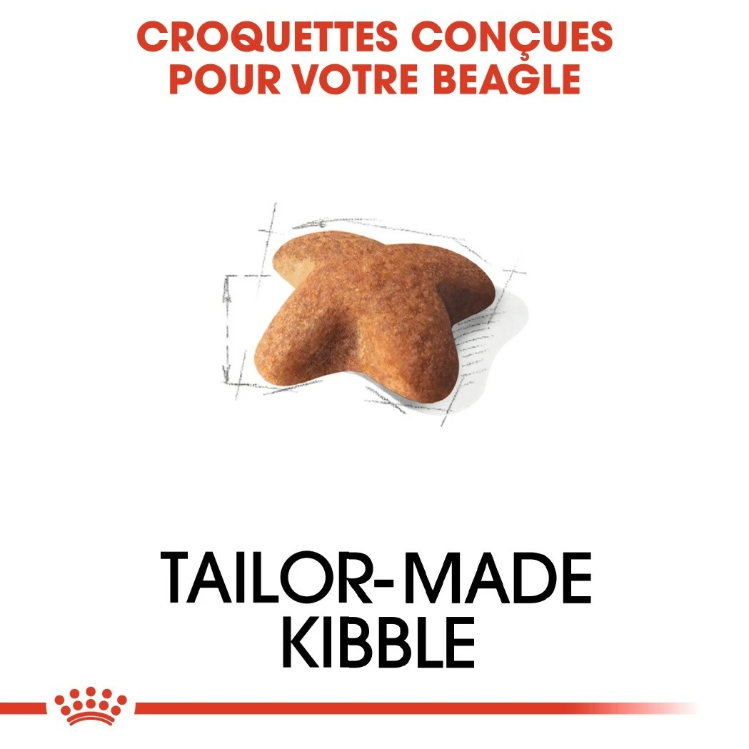 Royal Canin Beagle Adult - Croquettes Pour Chien 4 Royal Canin Beagle Adult - Croquettes Pour Chien – Image 4