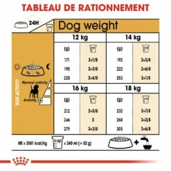 Royal Canin Beagle Adult - Croquettes Pour Chien 13 Royal Canin Beagle Adult - Croquettes Pour Chien -Promos Wanimo Boutique royal canin beagle adult croquettes pour chien beagle adulte 5