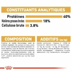 Royal Canin Bengal Adult -Promos Wanimo Boutique royal canin bengal adult bengal 4