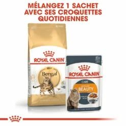Royal Canin Bengal Adult -Promos Wanimo Boutique royal canin bengal adult bengal 6