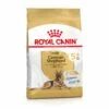Royal Canin Berger Allemand Adult 5+ (German Sheperd) - Croquettes Pour Chien