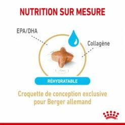 Royal Canin Berger Allemand Adult 5+ (German Sheperd) - Croquettes Pour Chien -Promos Wanimo Boutique royal canin berger allemand adult german sheperd croquettes pour chien berger allemand adulte 1 2