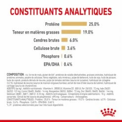 Royal Canin Berger Allemand Adult 5+ (German Sheperd) - Croquettes Pour Chien -Promos Wanimo Boutique royal canin berger allemand adult german sheperd croquettes pour chien berger allemand adulte 1 3