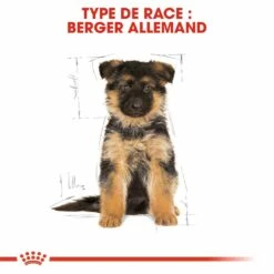 Royal Canin Berger Allemand Puppy (German Shepherd) - Croquettes Pour Chiot -Promos Wanimo Boutique royal canin berger allemand puppy german shepherd croquettes pour chiot 1 6