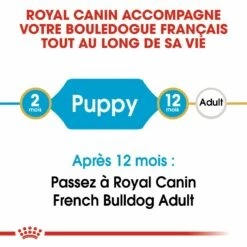 Royal Canin Bouledogue Français Puppy - Croquettes Pour Chiot 11 Royal Canin Bouledogue Français Puppy - Croquettes Pour Chiot -Promos Wanimo Boutique royal canin bouledogue francais puppy croquettes pour chiot bouledogue francais junior 3