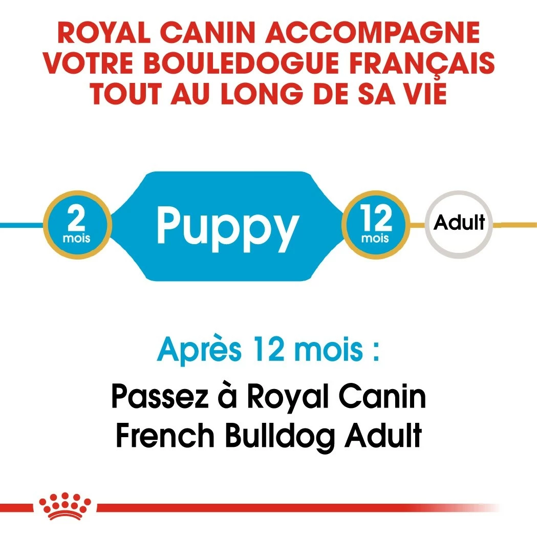 Royal Canin Bouledogue Français Puppy - Croquettes Pour Chiot 4 Royal Canin Bouledogue Français Puppy - Croquettes Pour Chiot – Image 4