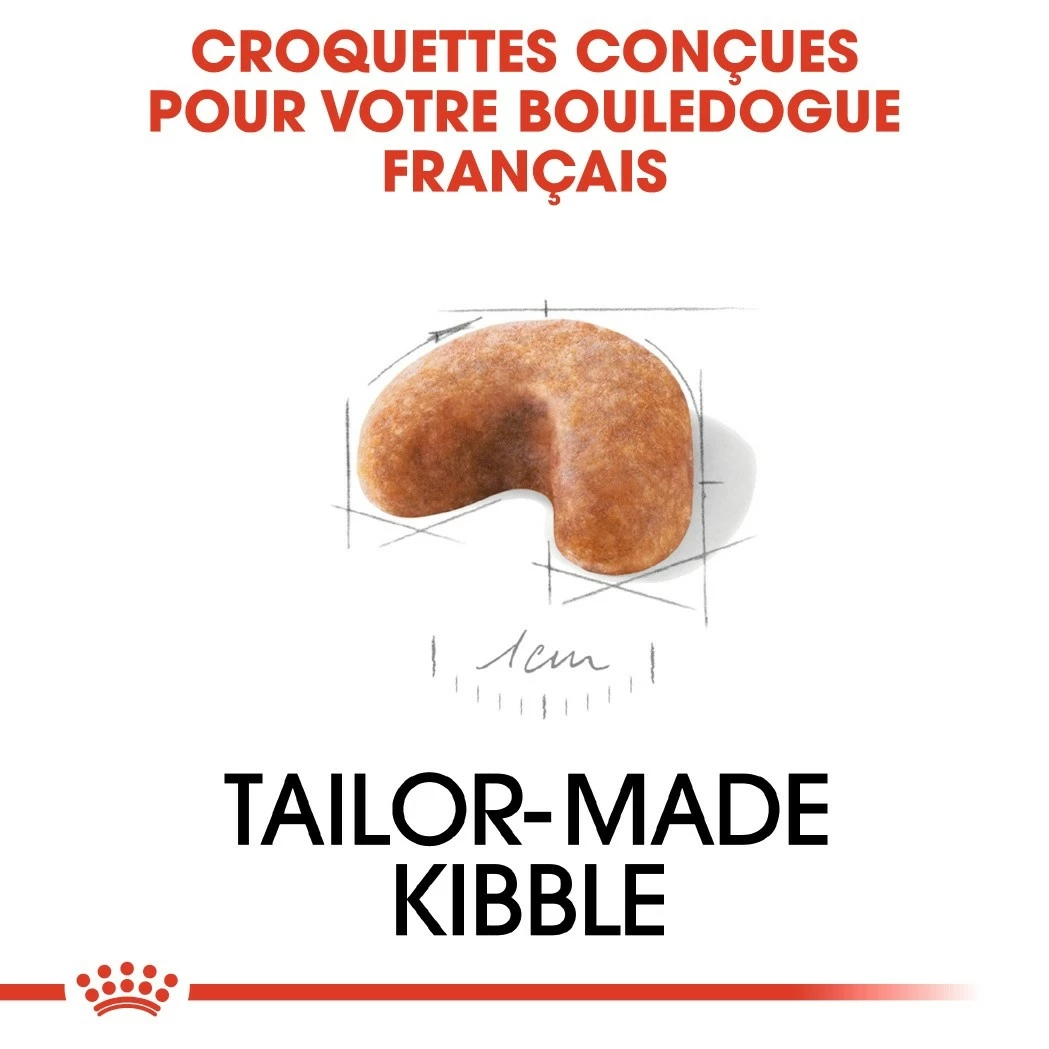 Royal Canin Bouledogue Français Puppy - Croquettes Pour Chiot 5 Royal Canin Bouledogue Français Puppy - Croquettes Pour Chiot – Image 5