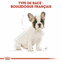 Royal Canin Bouledogue Français Puppy - Croquettes Pour Chiot 13 Royal Canin Bouledogue Français Puppy - Croquettes Pour Chiot -Promos Wanimo Boutique royal canin bouledogue francais puppy croquettes pour chiot bouledogue francais junior 5
