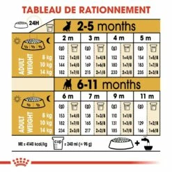 Royal Canin Bouledogue Français Puppy - Croquettes Pour Chiot 14 Royal Canin Bouledogue Français Puppy - Croquettes Pour Chiot -Promos Wanimo Boutique royal canin bouledogue francais puppy croquettes pour chiot bouledogue francais junior 6