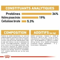 Royal Canin British Shorthair Adult -Promos Wanimo Boutique royal canin british shorthair adult british shorthair 1 4