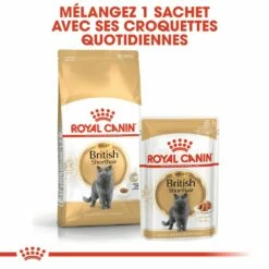 Royal Canin British Shorthair Adult -Promos Wanimo Boutique royal canin british shorthair adult british shorthair 1 6