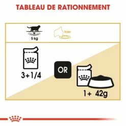 Royal Canin British Shorthair - Pâtée En Sachet Pour Chat -Promos Wanimo Boutique royal canin british shorthair patee en sachet pour chat british shorthair adult sauce 4