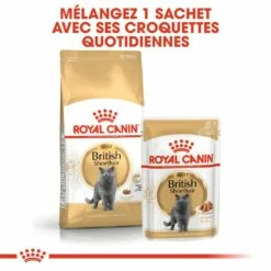 Royal Canin British Shorthair - Pâtée En Sachet Pour Chat -Promos Wanimo Boutique royal canin british shorthair patee en sachet pour chat british shorthair adult sauce 5