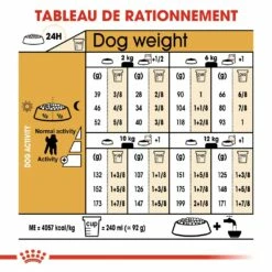 Royal Canin Caniche Adult (Poodle) - Croquettes Pour Chien -Promos Wanimo Boutique royal canin caniche adult poodle croquettes pour chien caniche poodle 1 4