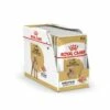 Royal Canin Caniche (Poodle) - Pâtée Pour Chien