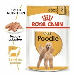 Royal Canin Caniche (Poodle) - Pâtée Pour Chien -Promos Wanimo Boutique royal canin caniche poodle patee pour chien caniche adult 2