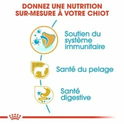 Royal Canin Caniche Puppy (Poodle) -Promos Wanimo Boutique royal canin caniche puppy poodle caniche poodle junior 2