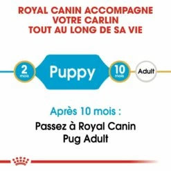 Royal Canin Carlin Puppy (Pug) 10 Royal Canin Carlin Puppy (Pug) -Promos Wanimo Boutique royal canin carlin puppy pug carlin pug junior 2