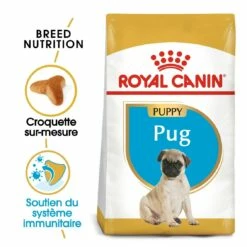 Royal Canin Carlin Puppy (Pug) 11 Royal Canin Carlin Puppy (Pug) -Promos Wanimo Boutique royal canin carlin puppy pug carlin pug junior 3