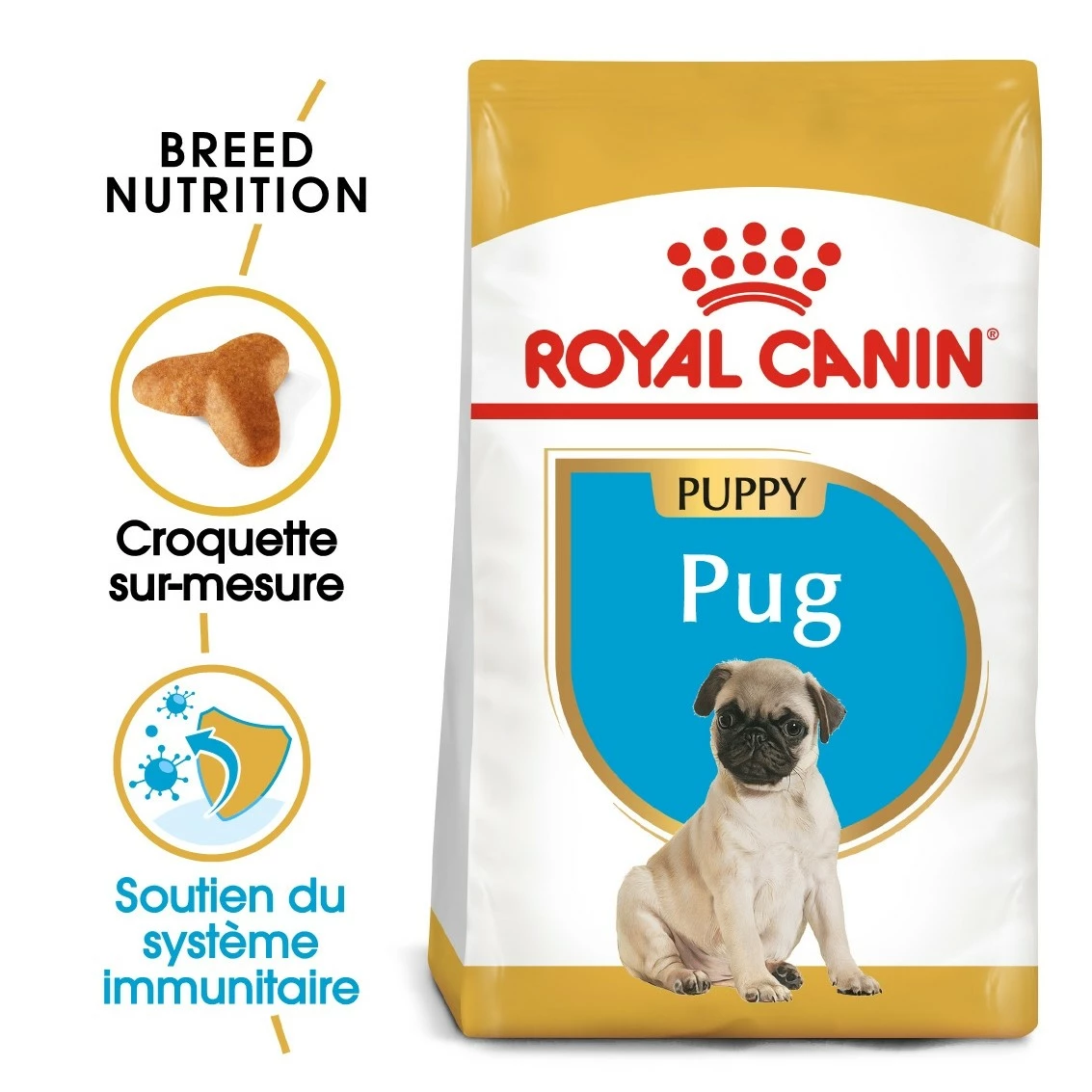 Royal Canin Carlin Puppy (Pug) 4 Royal Canin Carlin Puppy (Pug) – Image 4