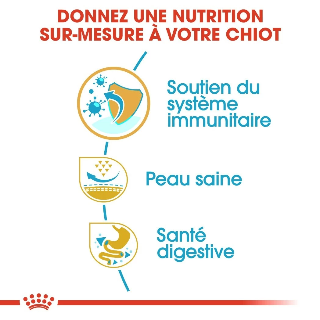 Royal Canin Carlin Puppy (Pug) 5 Royal Canin Carlin Puppy (Pug) – Image 5