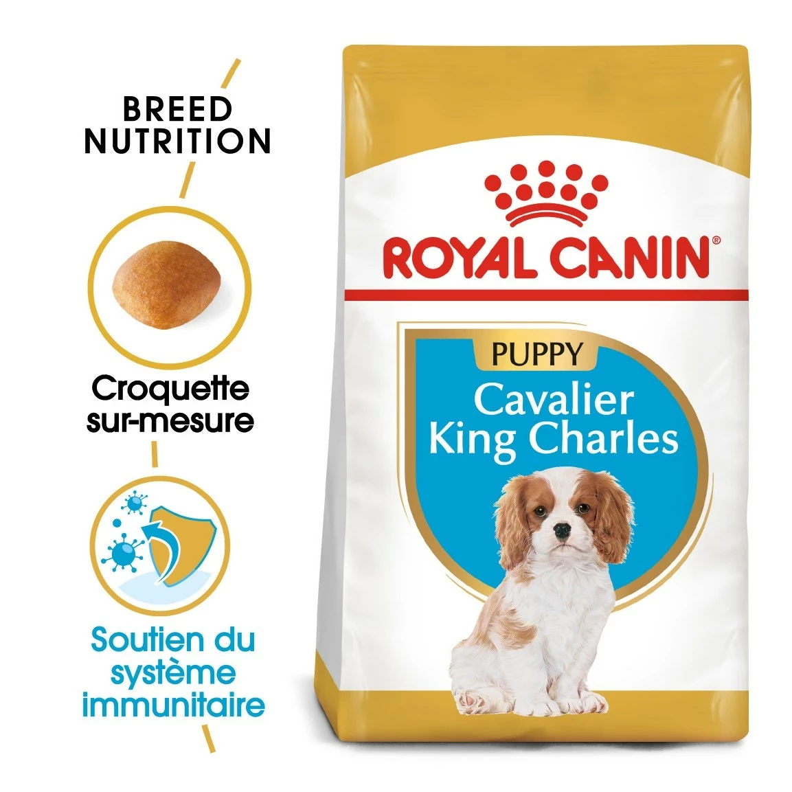 Royal Canin Cavalier King Charles Puppy - Croquettes Pour Chiot 2 Royal Canin Cavalier King Charles Puppy - Croquettes Pour Chiot – Image 2