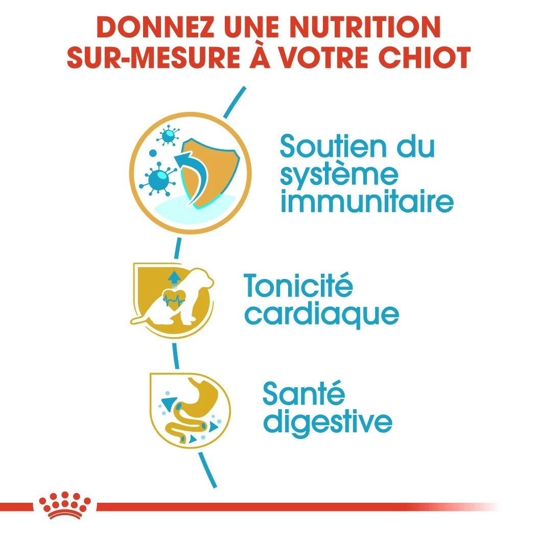 Royal Canin Cavalier King Charles Puppy - Croquettes Pour Chiot 3 Royal Canin Cavalier King Charles Puppy - Croquettes Pour Chiot – Image 3